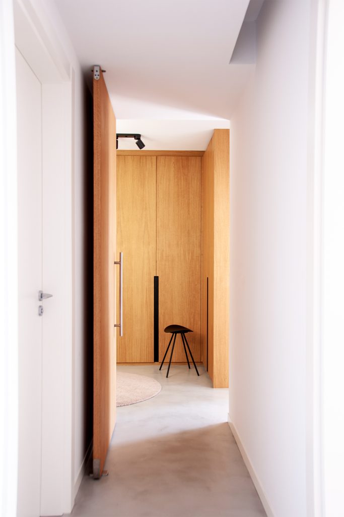 Minimalist hallway with a sleek wood panel door and simple design elements.